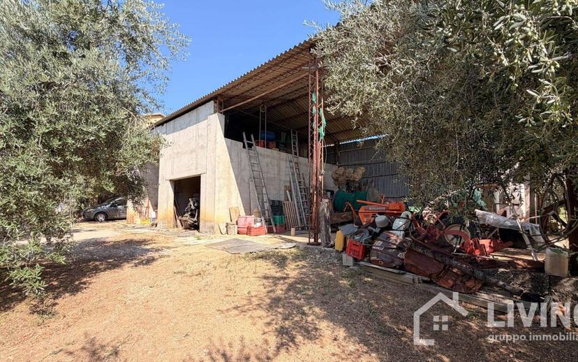Casale Contrada Paterno 19, Loreto Aprutino — foto 15 di 48