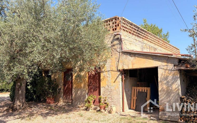 Casale Contrada Paterno 19, Loreto Aprutino — foto 31 di 48