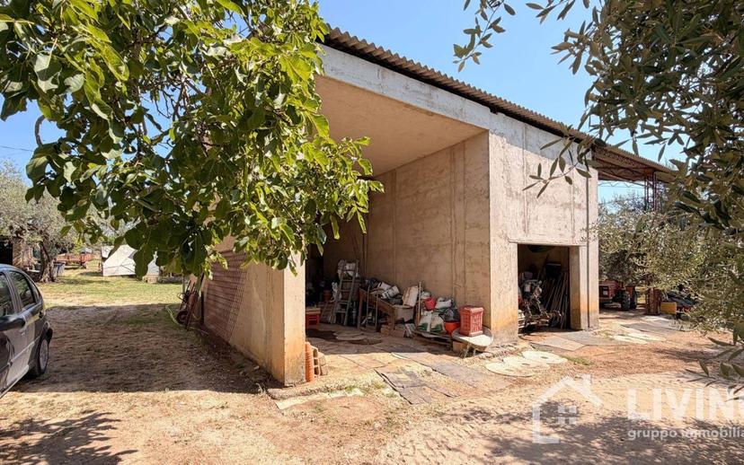 Casale Contrada Paterno 19, Loreto Aprutino — foto 30 di 48