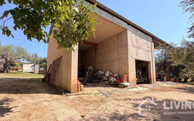Casale Contrada Paterno 19, Loreto Aprutino — foto 35 di 48