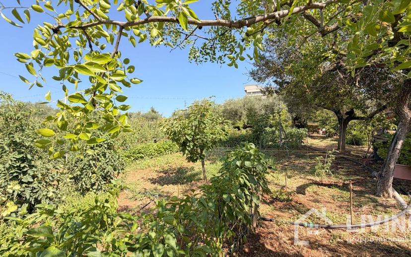 Casale Contrada Paterno 19, Loreto Aprutino — foto 14 di 48