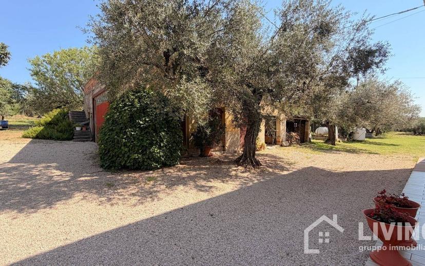 Casale Contrada Paterno 19, Loreto Aprutino — foto 8 di 48