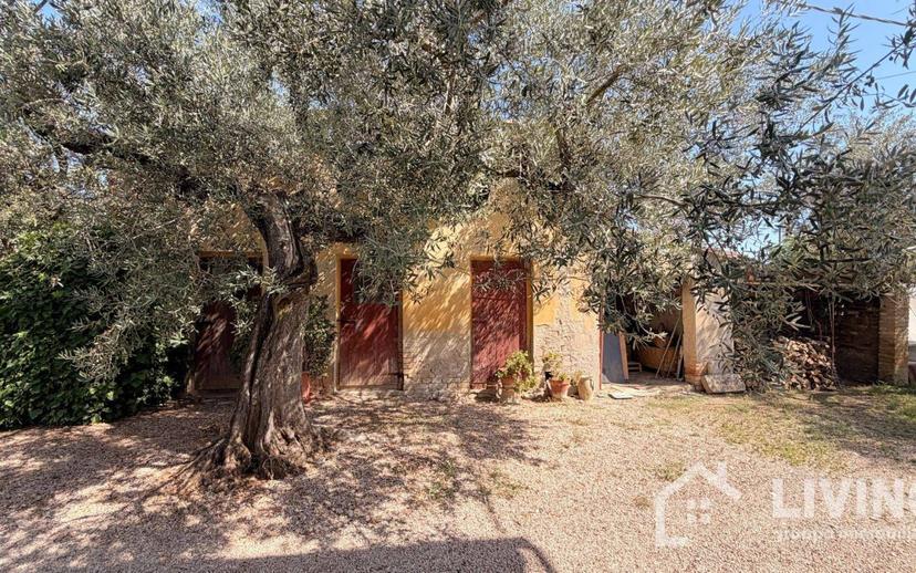 Casale Contrada Paterno 19, Loreto Aprutino — foto 24 di 48