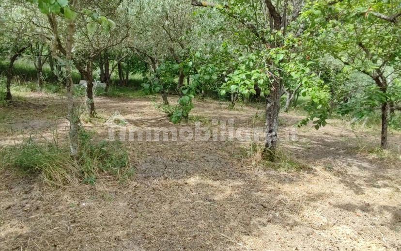 Villa unifamiliare via Malfetana, Sant'Angelo a Scala — foto 9 di 19