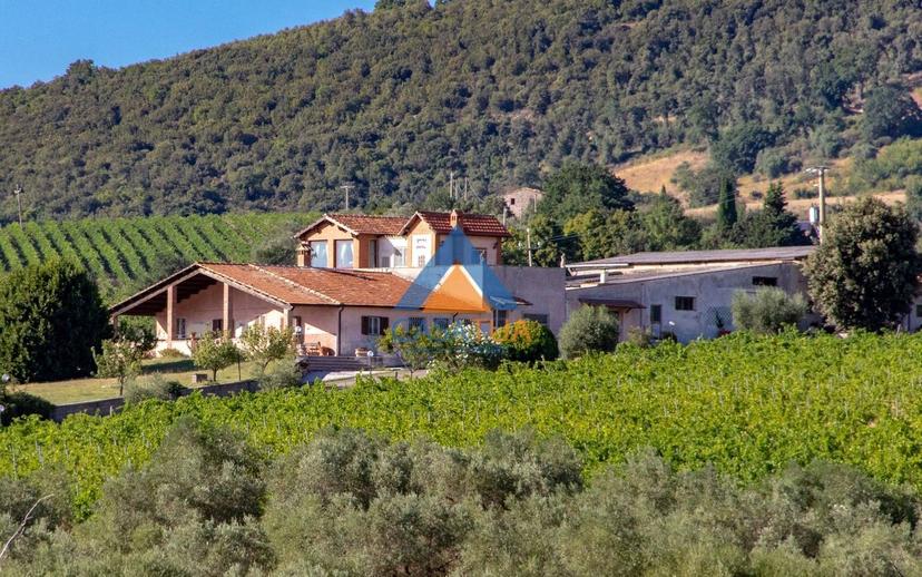 Casale via Pilli, Montecchio — foto 72 di 78