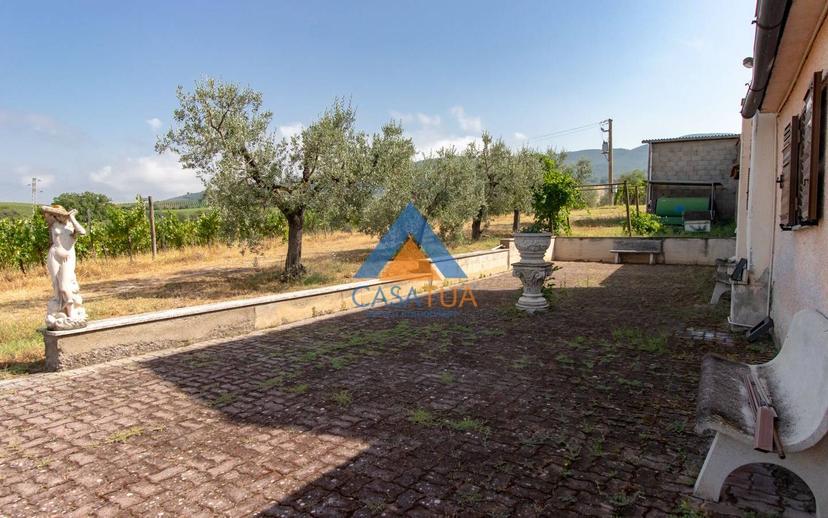 Casale via Pilli, Montecchio — foto 76 di 78