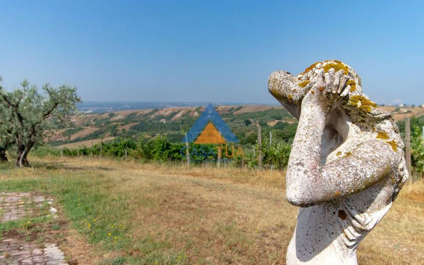 Casale via Pilli, Montecchio — foto 44 di 78