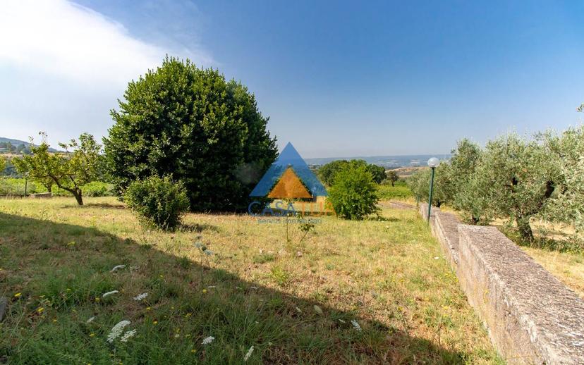 Casale via Pilli, Montecchio — foto 15 di 78