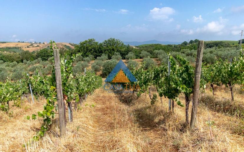 Casale via Pilli, Montecchio — foto 78 di 78