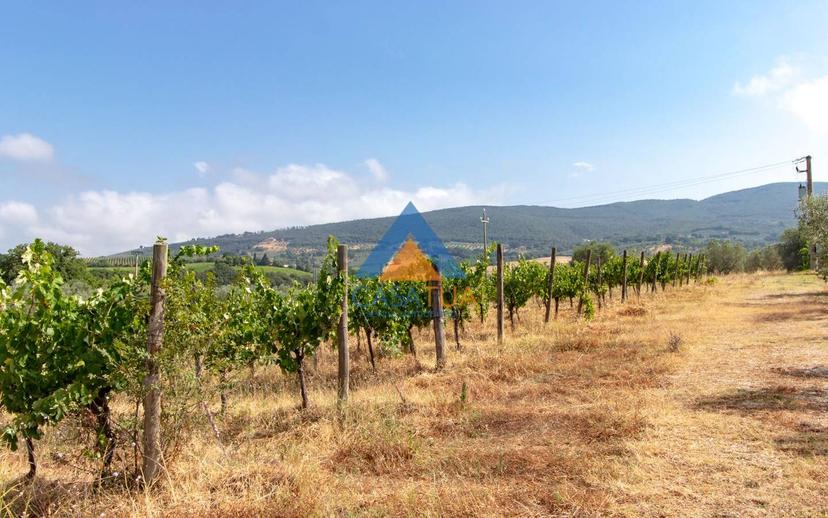 Casale via Pilli, Montecchio — foto 17 di 78