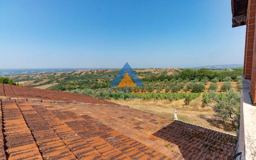 Casale via Pilli, Montecchio — foto 25 di 78