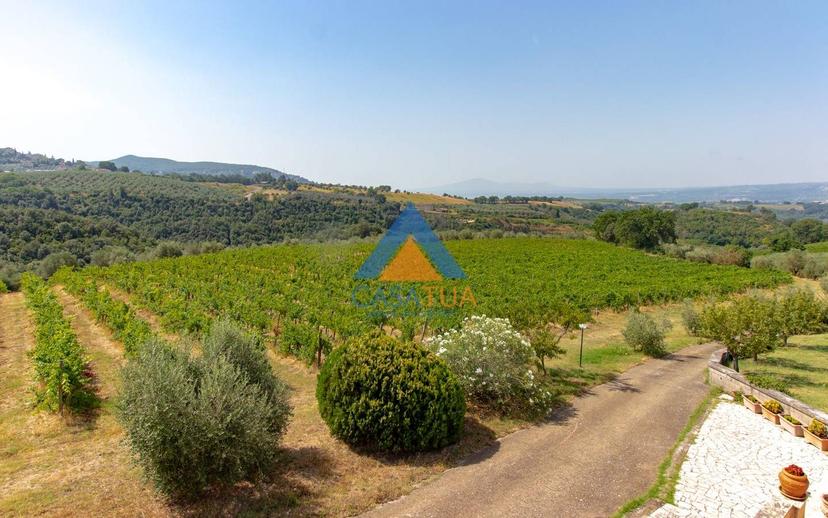 Casale via Pilli, Montecchio — foto 60 di 78