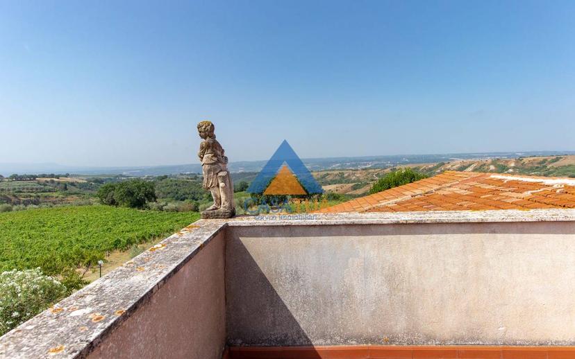Casale via Pilli, Montecchio — foto 75 di 78