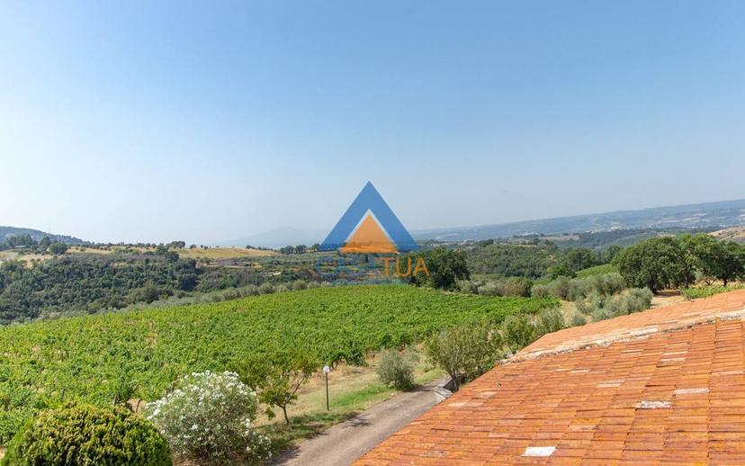 Casale via Pilli, Montecchio — foto 62 di 78