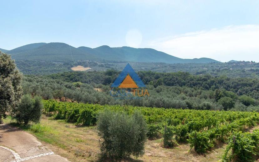 Casale via Pilli, Montecchio — foto 23 di 78