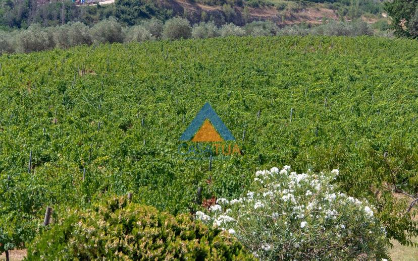 Casale via Pilli, Montecchio — foto 35 di 78
