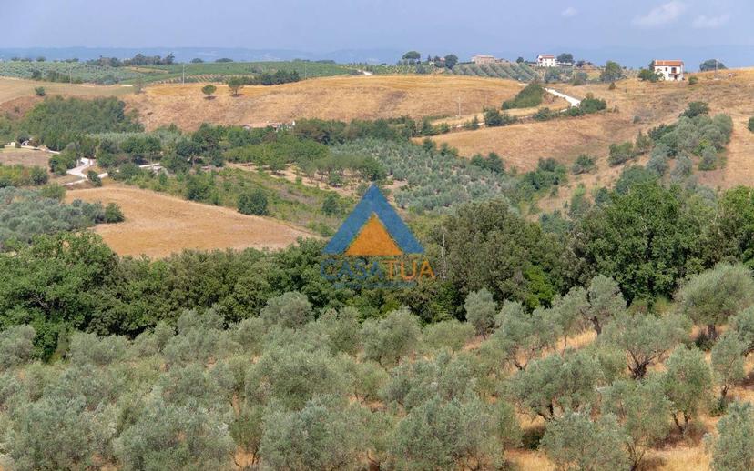 Casale via Pilli, Montecchio — foto 57 di 78