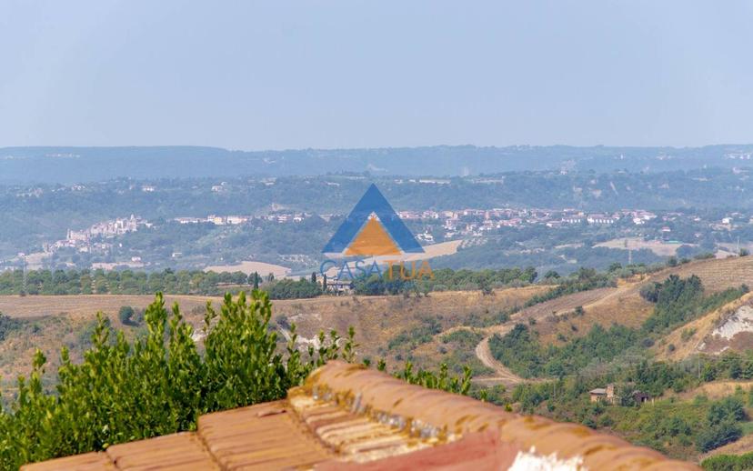 Casale via Pilli, Montecchio — foto 8 di 78