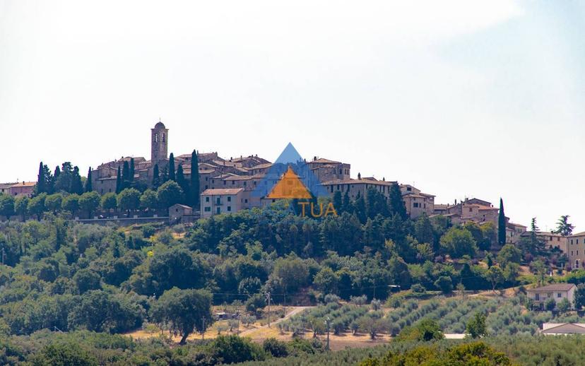 Casale via Pilli, Montecchio