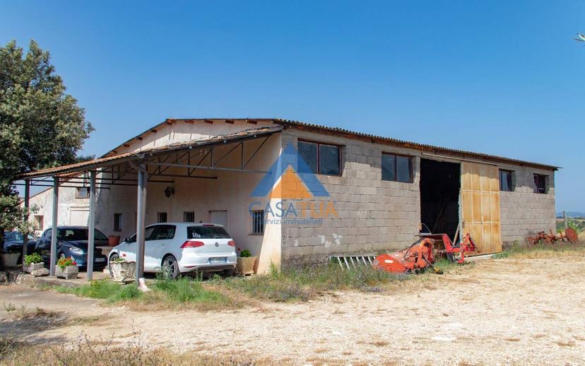 Casale via Pilli, Montecchio — foto 19 di 78