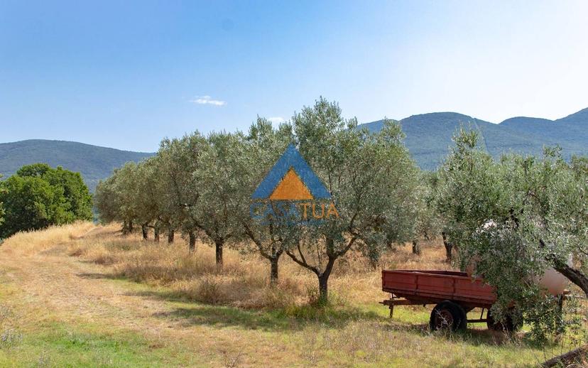 Casale via Pilli, Montecchio — foto 53 di 78