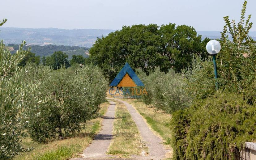 Casale via Pilli, Montecchio — foto 52 di 78