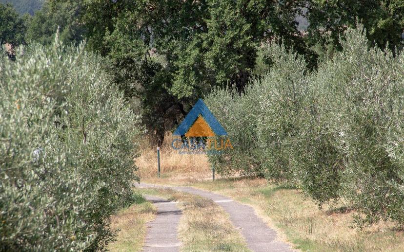 Casale via Pilli, Montecchio — foto 7 di 78