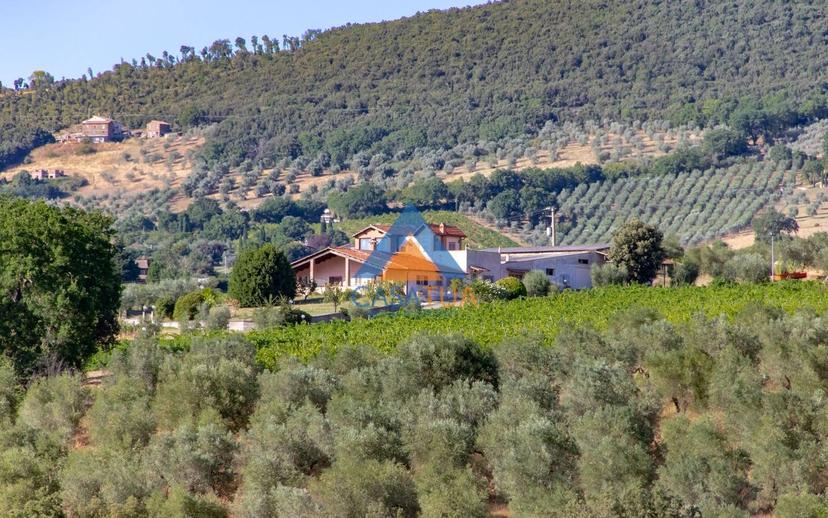 Casale via Pilli, Montecchio — foto 24 di 78