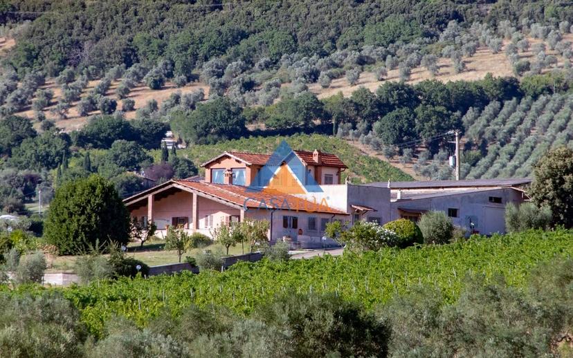 Casale via Pilli, Montecchio — foto 37 di 78