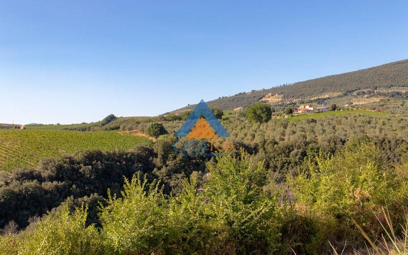 Casale via Pilli, Montecchio — foto 42 di 78