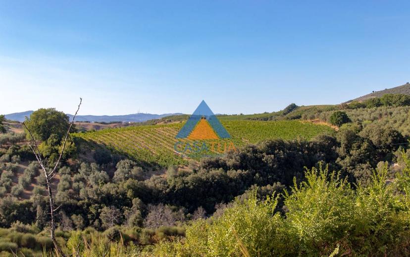 Casale via Pilli, Montecchio — foto 10 di 78