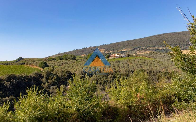 Casale via Pilli, Montecchio — foto 69 di 78