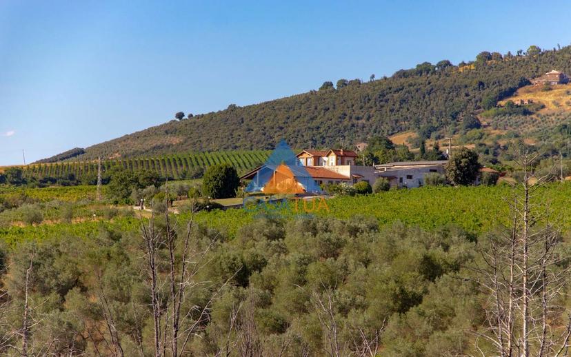 Casale via Pilli, Montecchio — foto 48 di 78