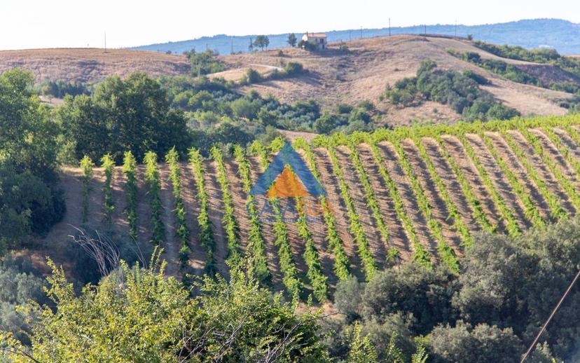 Casale via Pilli, Montecchio — foto 56 di 78