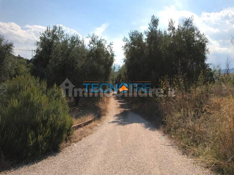 Villa plurifamiliare Contrada Pagliare 2, Monsampolo del Tronto — foto 8 di 12