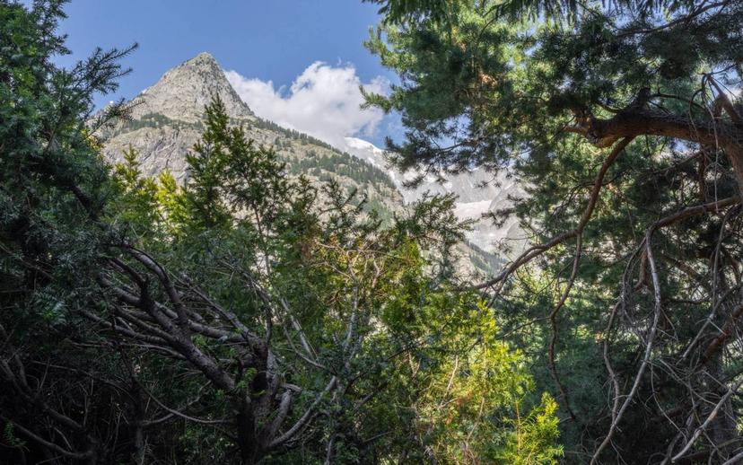Trilocale Strada del Plan Gorret 7, Centro, Courmayeur — foto 12 di 14