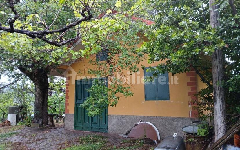 Terratetto unifamiliare via San Teodoro, Petilia Policastro — foto 2 di 6