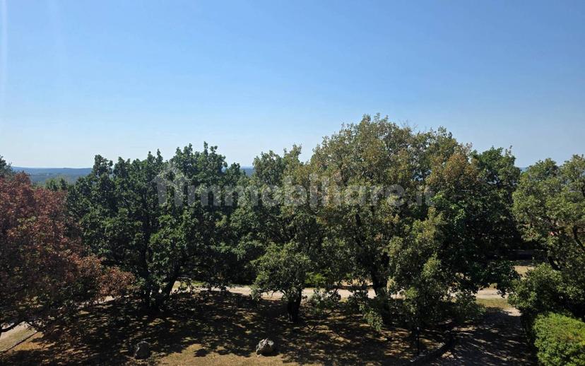 Bilocale frazione Pesek 60, San Dorligo della Valle - Dolina — foto 2 di 37