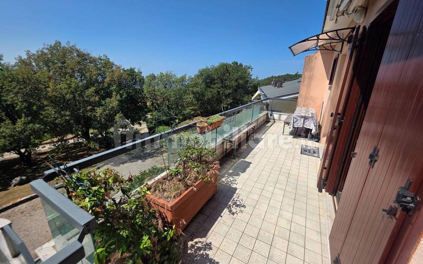 Bilocale frazione Pesek 60, San Dorligo della Valle - Dolina — foto 26 di 37