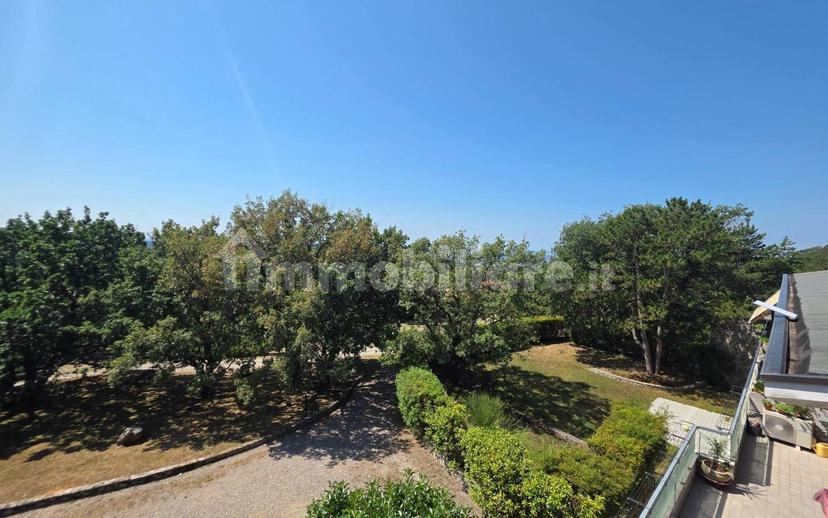 Bilocale frazione Pesek 60, San Dorligo della Valle - Dolina — foto 37 di 37
