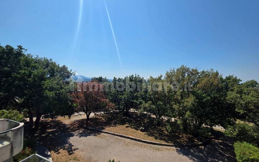 Bilocale frazione Pesek 60, San Dorligo della Valle - Dolina — foto 11 di 37
