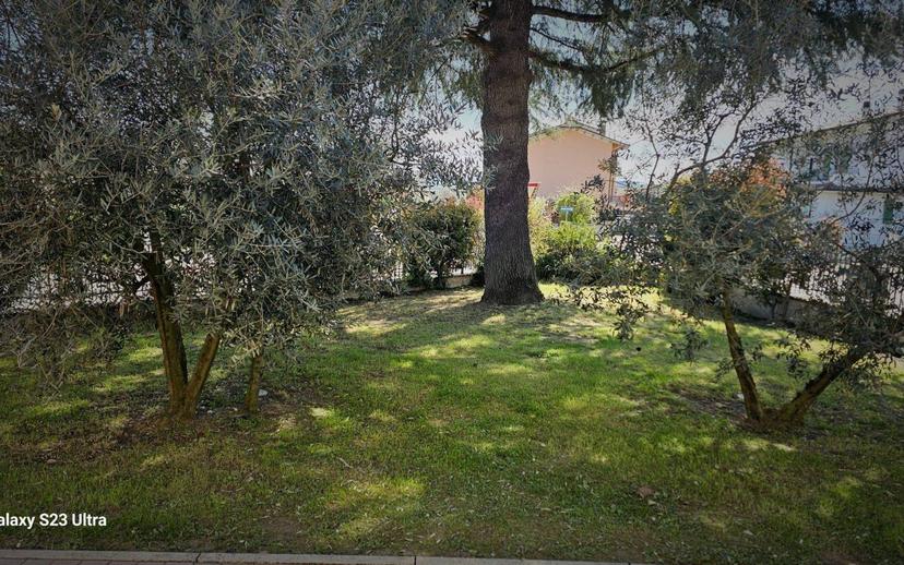 Appartamento ottimo stato, piano terra, Pistrino, Citerna — foto 4 di 7