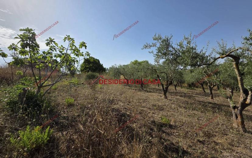 Rustico Rione Franzucchi 5, Centro, Castellana Sicula — foto 8 di 9