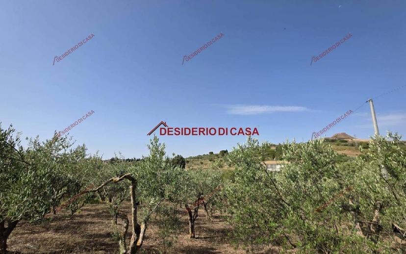 Rustico Rione Franzucchi 5, Centro, Castellana Sicula — foto 3 di 9