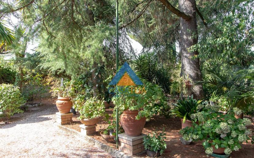 Villa unifamiliare Strada della Luna Piena, Giove — foto 5 di 41