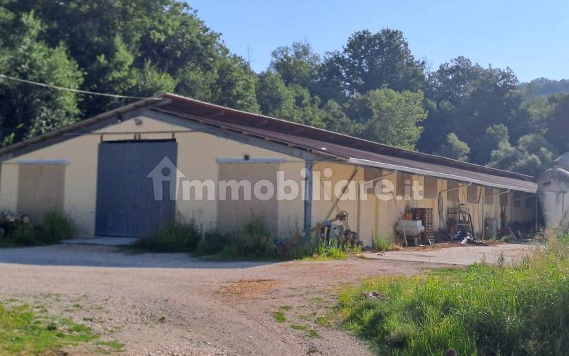 Casale Contrada Palombare 8, Force — foto 15 di 18