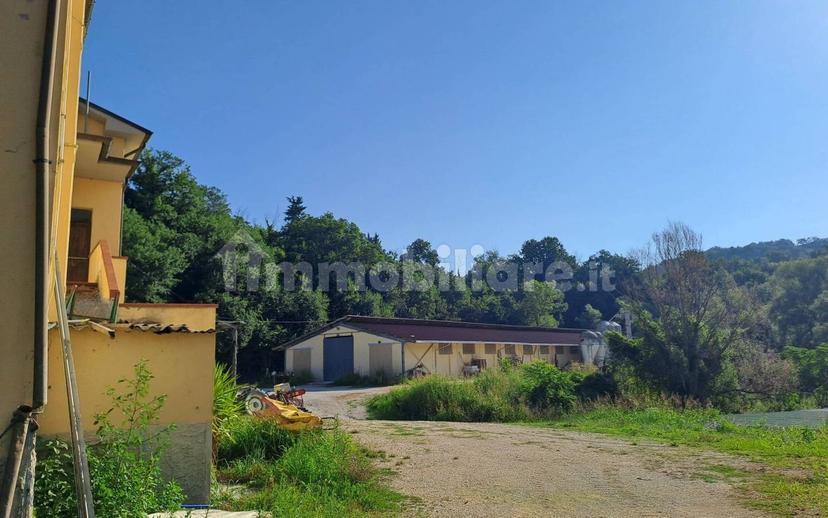 Casale Contrada Palombare 8, Force — foto 2 di 18