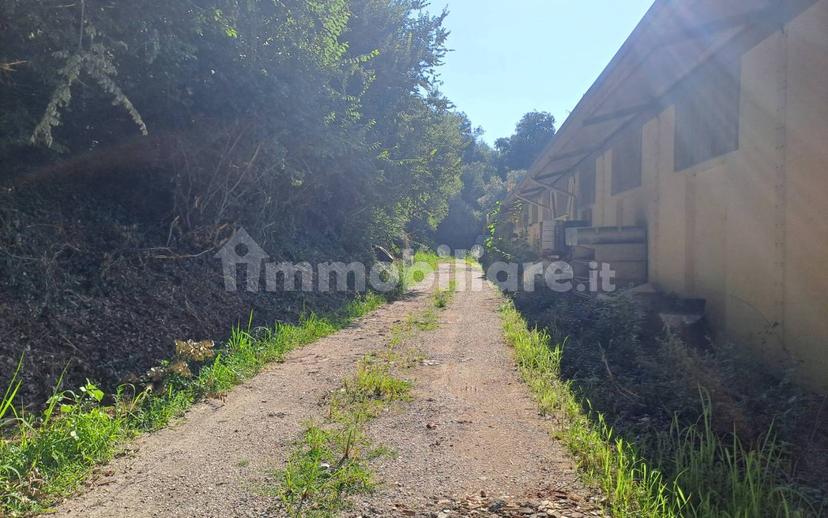 Casale Contrada Palombare 8, Force — foto 8 di 18