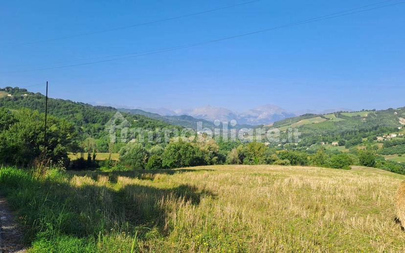 Casale Contrada Palombare 8, Force — foto 4 di 18