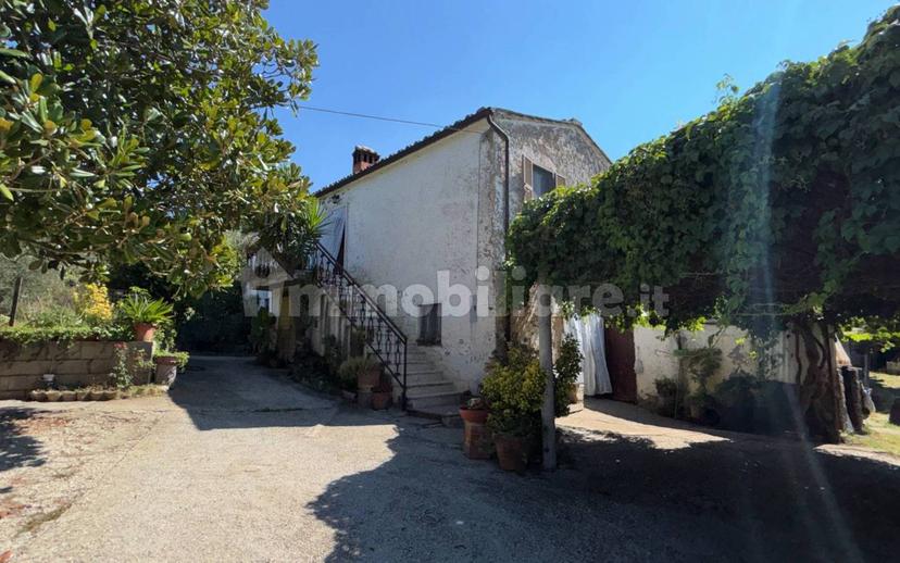 Casale via Sant'Andrea 37, Sant'andrea, Montebuono — foto 10 di 39